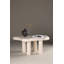 Damera Coffee Table
