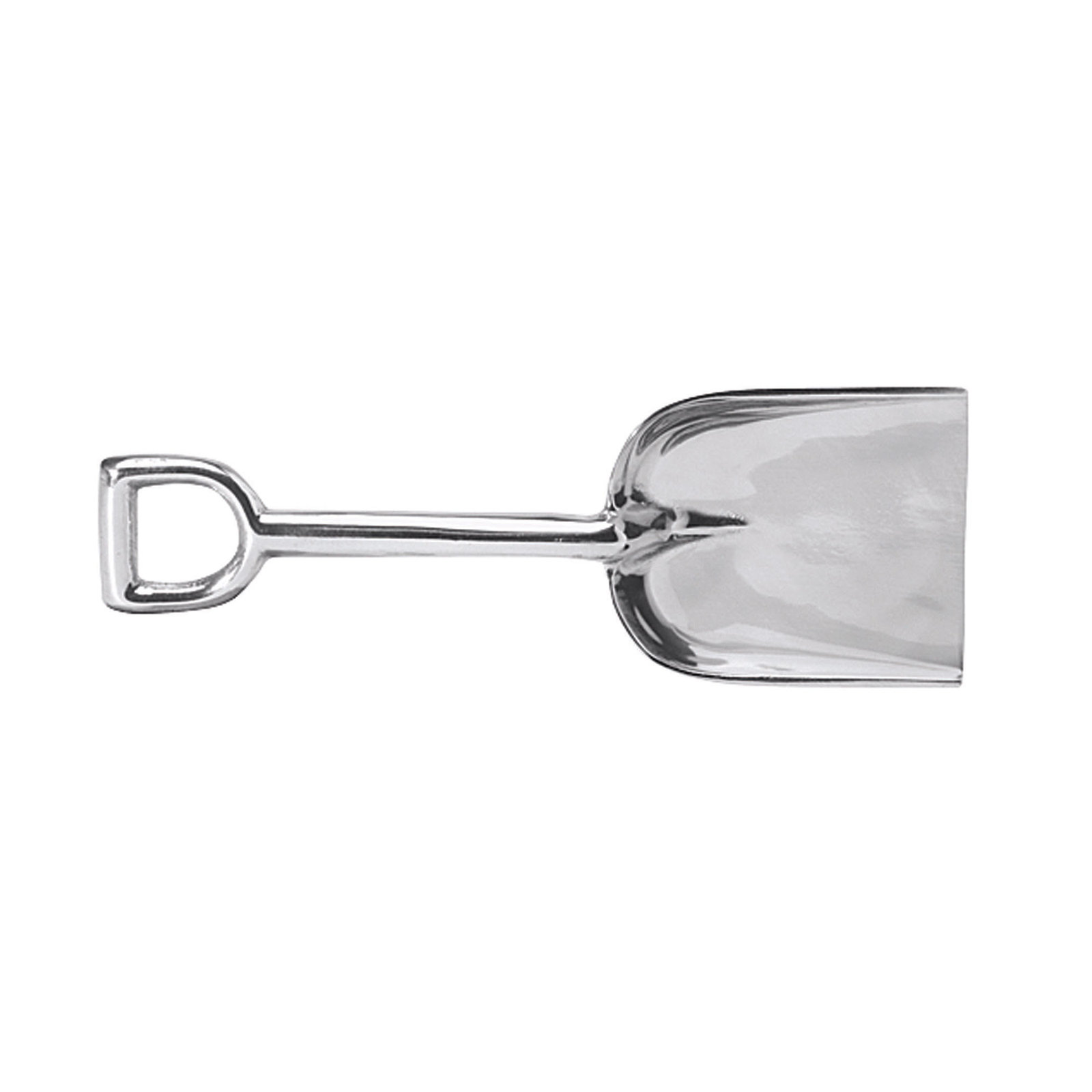 Seaside Serving Spoon