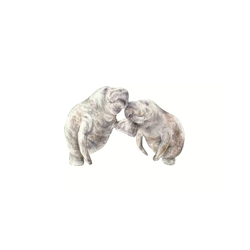 Manatees by Wandering Laur - Wrapped Canvas Painting, 20.32 cm H x 30.48 cm W