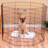 Lucky Dog Exercise Pens-11941707