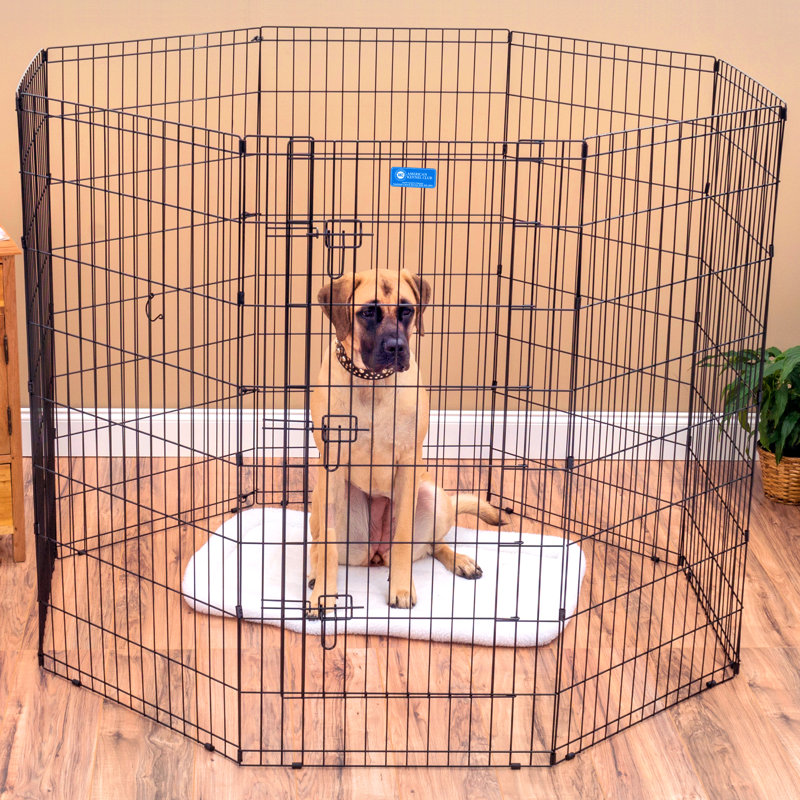 Lucky Dog 48" Black Metal Exercise Pen with Stakes