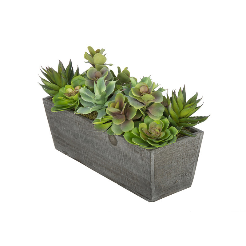 Plante grasse artificielle 5 po en pot, Gris