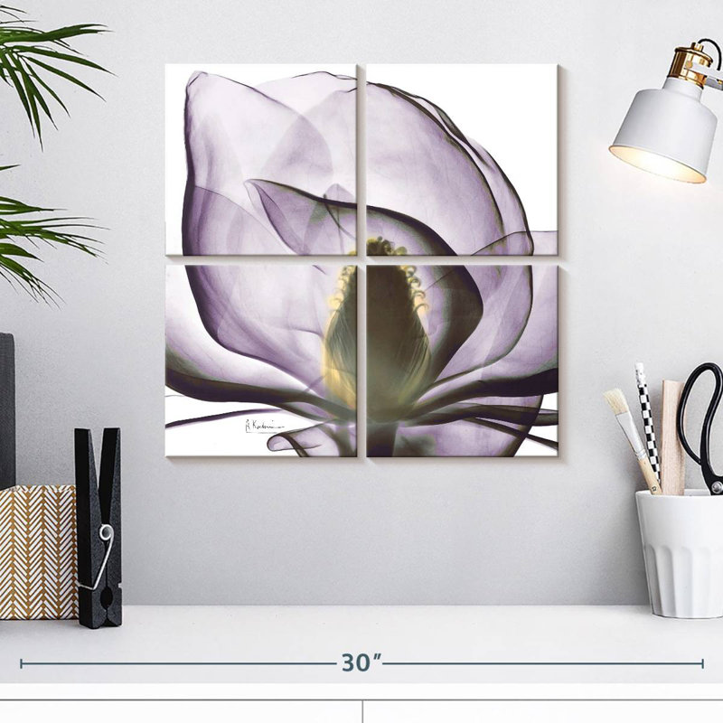 Harnek Magnolia X-ray