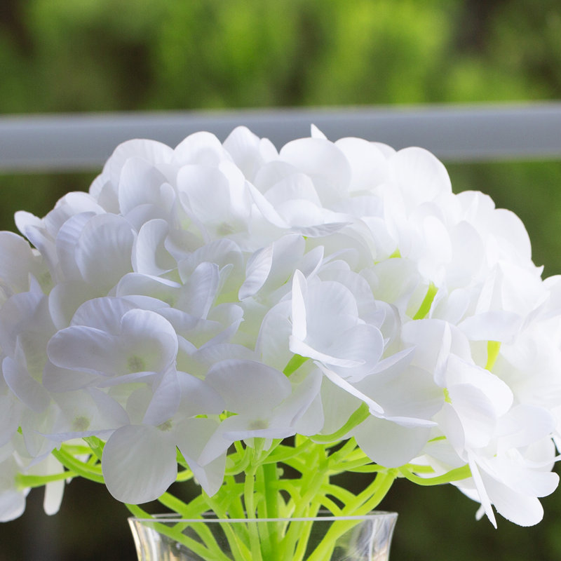 Arrangement d'hortensias dans un vase, Blanc