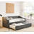 3-in-1 Pull-Out Sofa Bed | Dual USB Ports-160354773