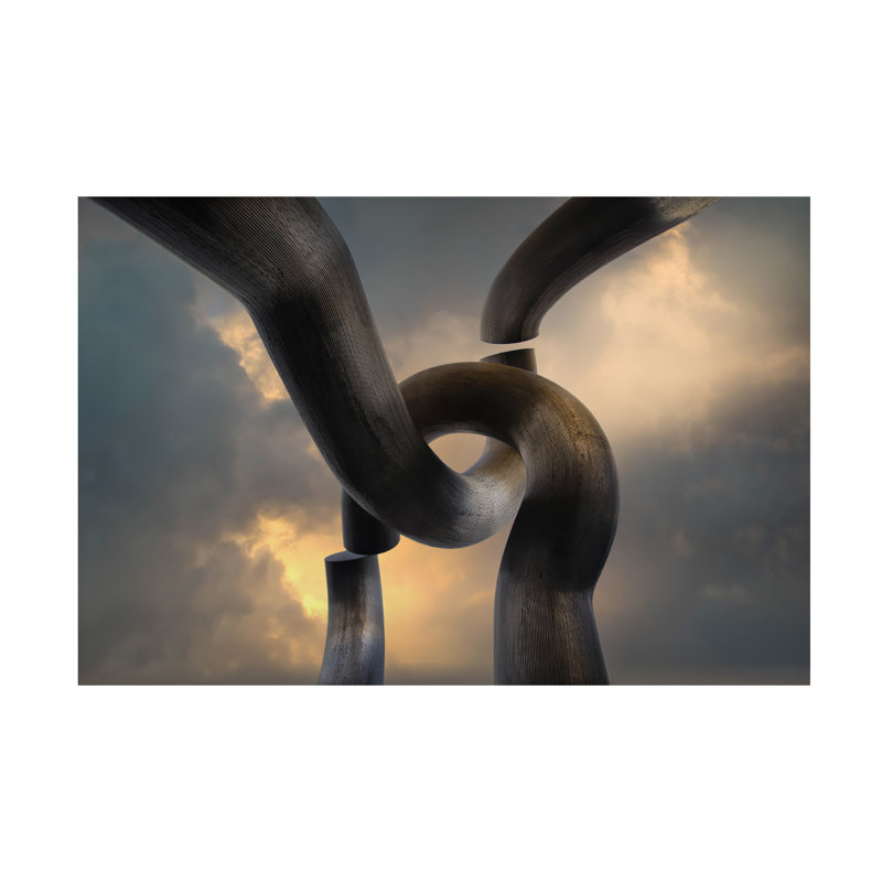 Art sur toile chaîne bolologique Wim Denijs, H 12 po x l 19 po