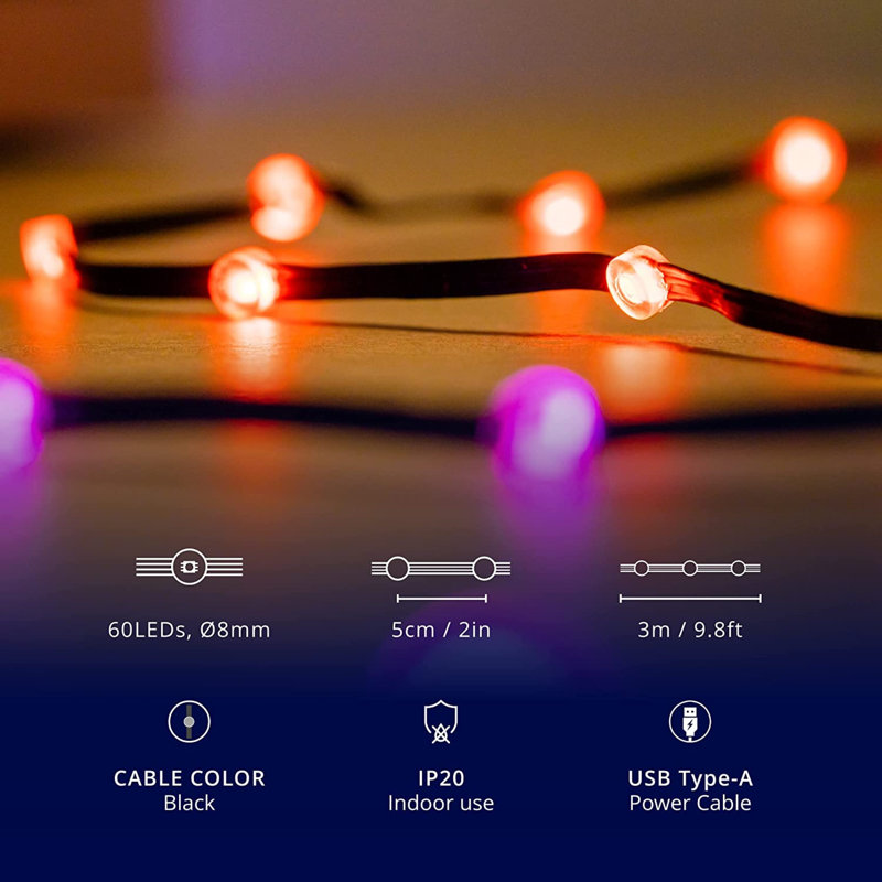 60 - Bulb 120'' Plug-in LED Rope String Light, Black