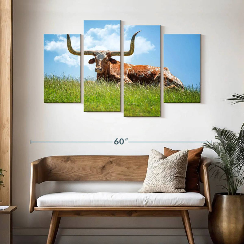 Texas Longhorn sur l'herbe