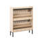 12 Pair Shoe Storage Cabinet