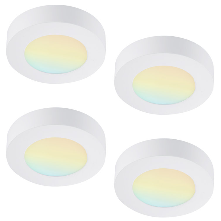 Round Color Selectable Integrated LED Flush Mount Downlight