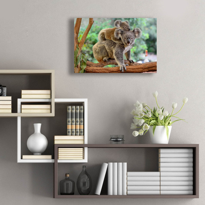 'Koala' by Epic Portfolio, Acrylic Glass Wall Art, 16'' H x 24'' W x 0.2'' D