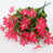 Rose rouge sélectionné