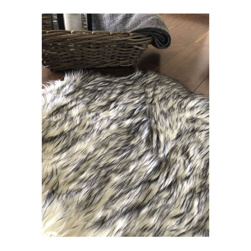Tapis en laine tissé à la machine Novelty Otterville, Nouveauté 3 pi 11 po x 5 pi 11 po