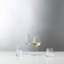 VW SWIRL 0.69ml Crystal Red Wine Glass Set