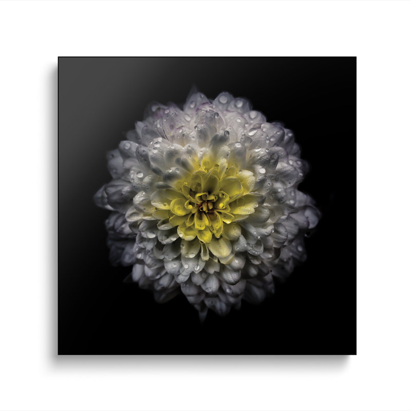 Impression sur toile, "Stepreix" par Brian Carson