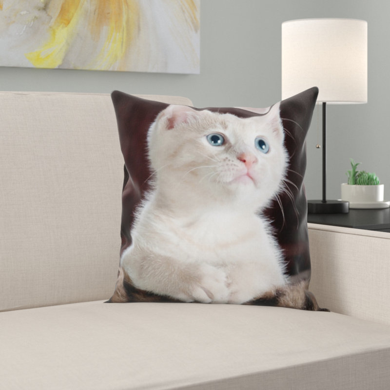 Coussin kitty