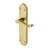 Polished Brass