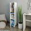 31cm W Bookcase-1438161425