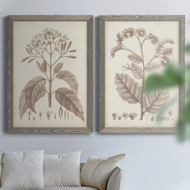 Antique sépia botanicals II, toile encadrée de qualité supérieure - prête à être accrochée, H 43,5 po x l 31,5 po x P 1 po