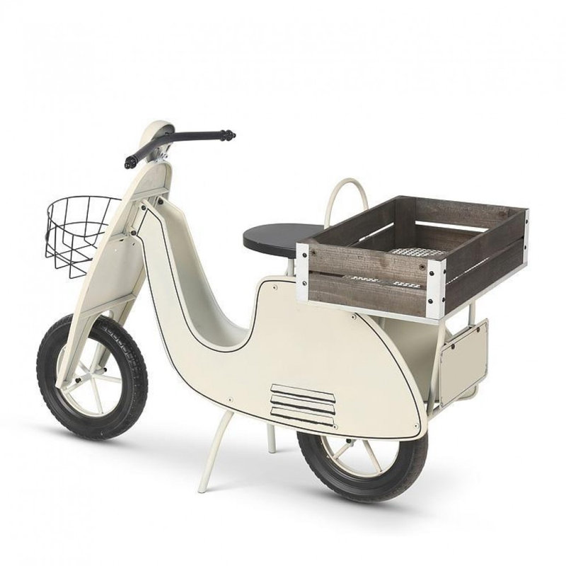 Scooter avec panier et support pour plante