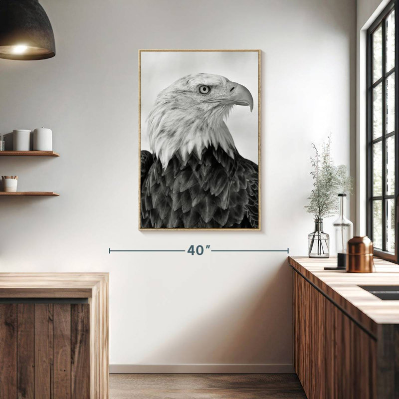 Aigle féroce, Floating Frame Natural Wood, 27 po x 40 po
