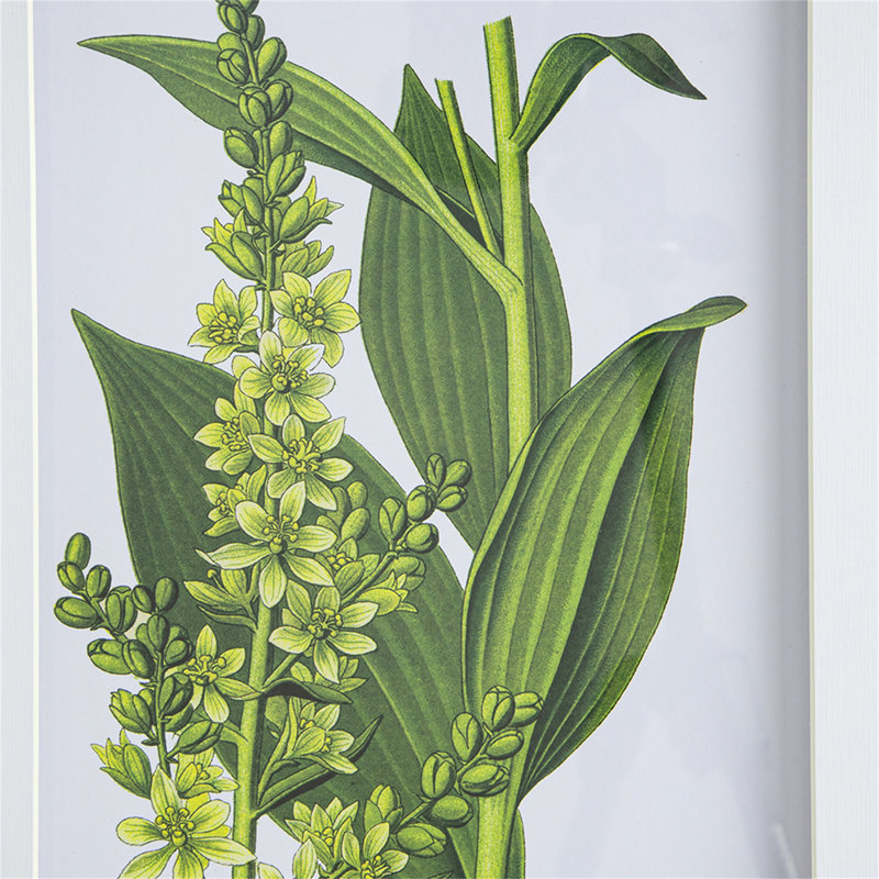 Ensemble de 4 fleurs murales botaniques