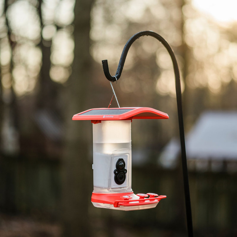 Wifi Enabled Hummingbird Feeder