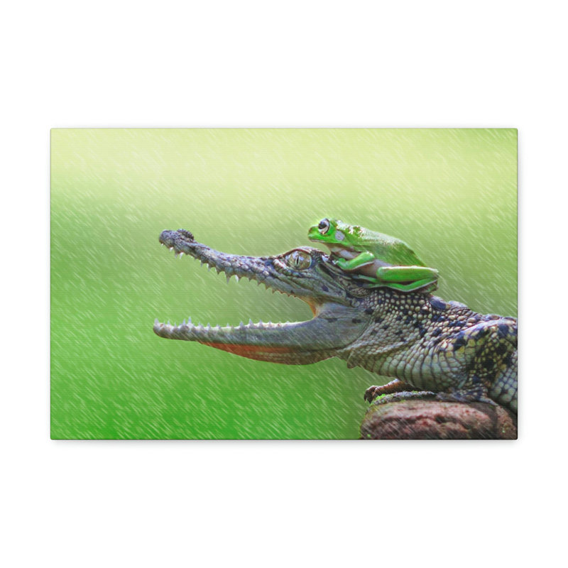 No Frame Print on Canvas, 27.94cm H x 35.56cm W
