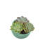 Pot à fleurs en bambou orbitale Bamboo Blooms-1983817405