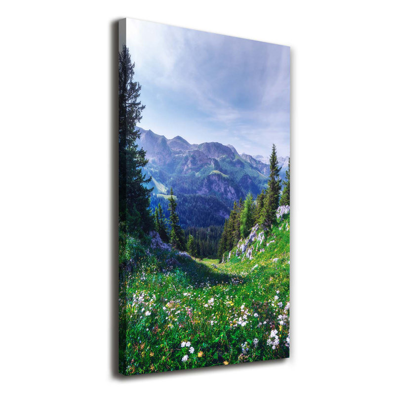 Alps - Wrapped Canvas Print