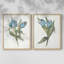«Blue Tulip Picks I», reproduction encadrée de qualité supérieure - prête à être accrochée - aucun clou requis - aucun clou requis-1311136963-1311136974