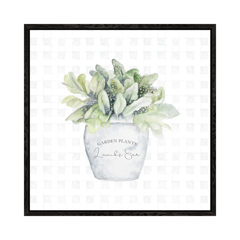 Garden Plants III by Janice Gaynor - Gallery-Wrapped Canvas Giclée on Canvas, 45.72 cm H x 45.72 cm W, Black Framed