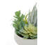 24cm Faux Succulent in Ceramic Pot