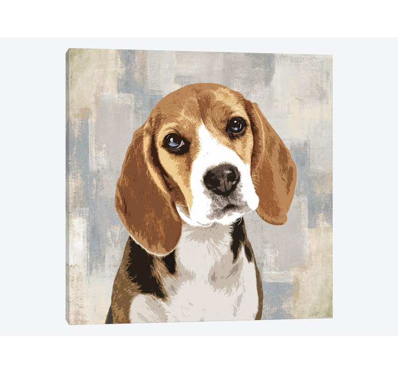 «Beagle», reproduction d'impression sur toile, H 26 po x l 26 po x P 1,5 po, Pas de tapis, Toile tendue