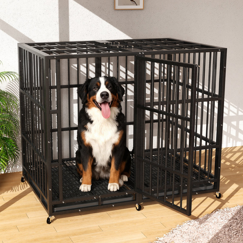 Meuble de 48 po en métal robuste avec roulettes verrouillables, cage intérieure pour chien avec plateau amovible et porte double, chenil pour chiens de grande / moyenne taille