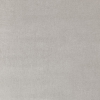 Plush 100% Cotton Fabric