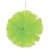 Vert clair