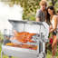 Rôtissoire à rôtir avec rôtissoire pour barbecue