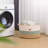 Fabric Laundry Hamper with Handles-1877106872