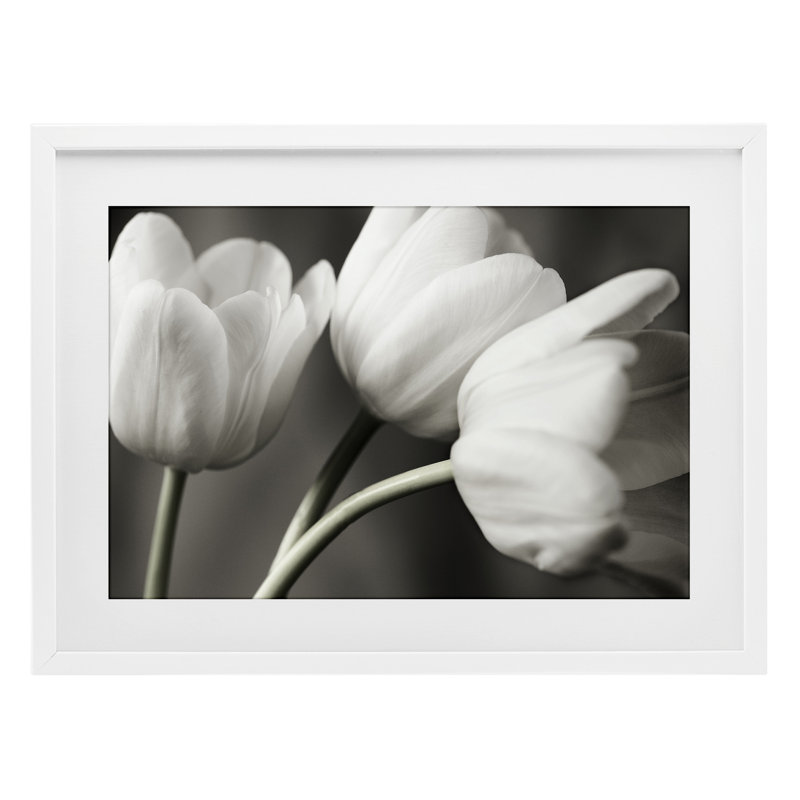 Rangée de tulipes monochromes, reproduction sous verre, conception par Tom Quartermaine, H 14 po x l 20 po