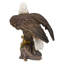 Aigle activé par le mouvement