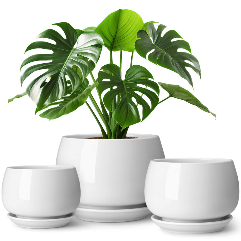 3-Pack Ceramic Plant Pots, White
