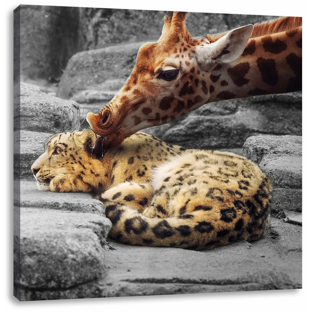 Leinwandbild Kuschelnder Leopard und Giraffe