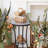 Fenske Patio Side Table-1618583323