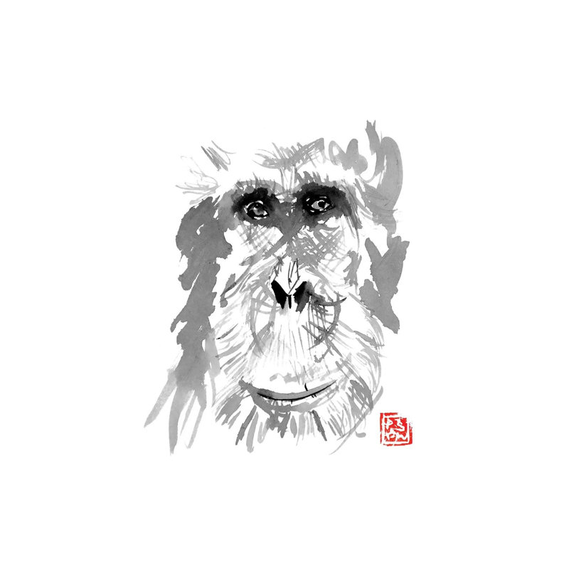 Old Orangutan by Péchane - Print on Canvas, Wrapped Canvas, 101.6 cm H x 66.04 cm W x 1.91 cm D