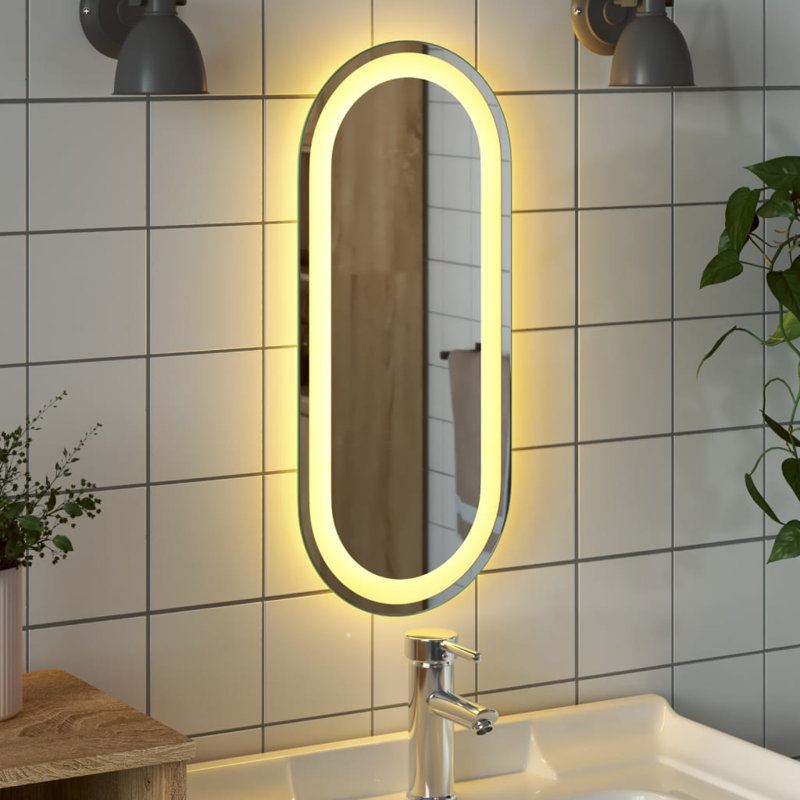 Miroir de salle de bain Jaisean, 39,4 po x 17,7 po