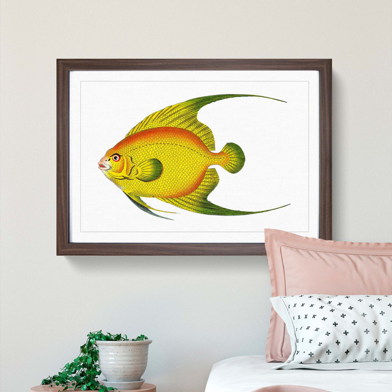 Golden Butterflyfish by George Shaw - Framed Print, 27cm H x 36cm W x 2cm D, Walnut Framed