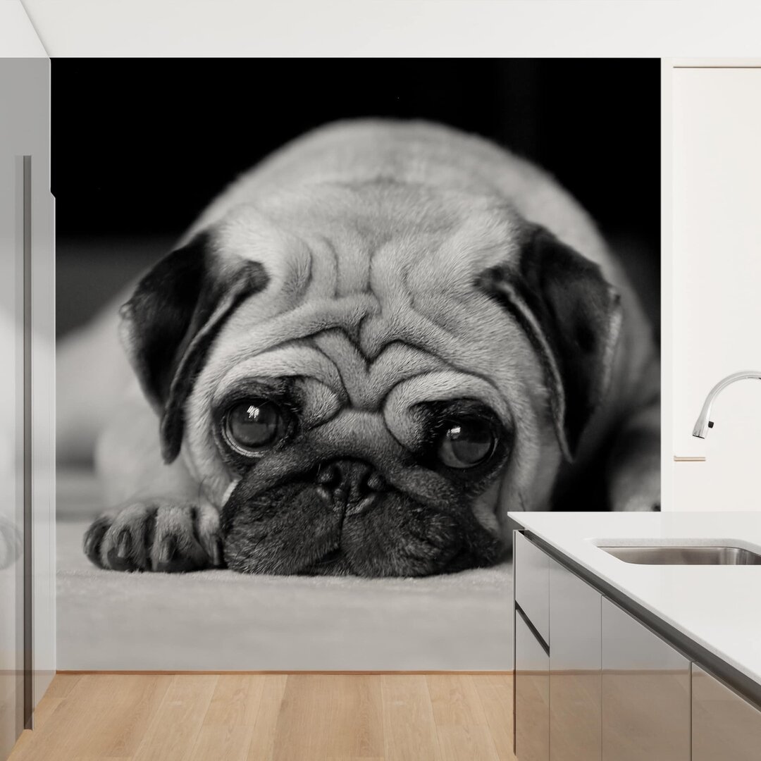 Strukturierte Tapete Pug Loves You II 1,92 m x 192 cm