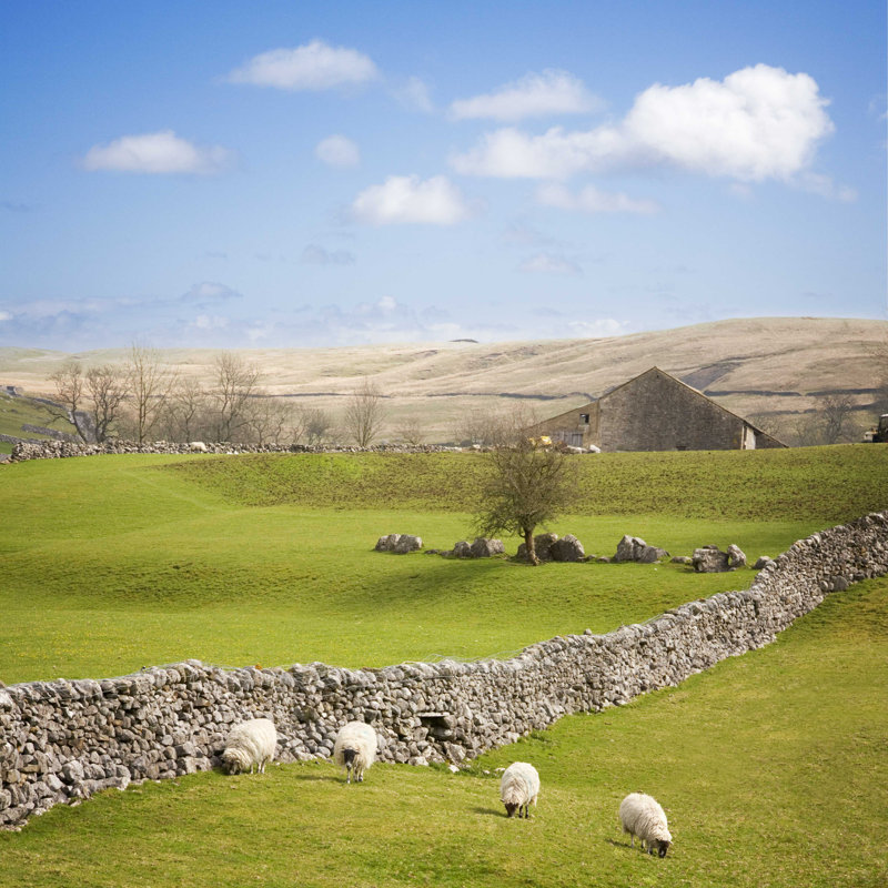 Dry Stone Wall - Photographie sur toile tendue, L 20 po x H 20 po