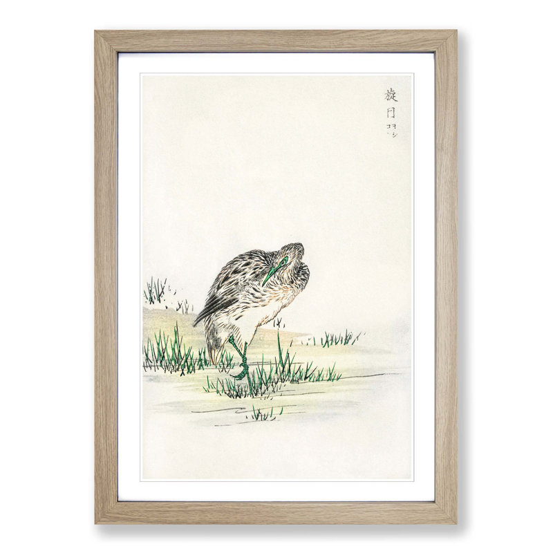 Chinese Little Bittern Bird by Numata Kashu - Picture Frame Painting Print, 36cm H x 27cm W x 2cm D, Oak Framed